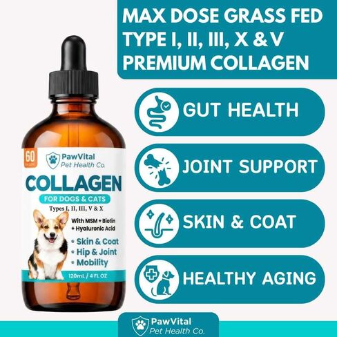 Liquid Collagen for Dogs – 1000mg 5 Types Grass-Fed Collagen Peptides (I, II, III, V & X) with MSM, Glucosamine, Chondroitin, Hyaluronic Acid – Skin & Coat, Itch Relief, Hip & Joint Support – 4oz in Saudi Arabia