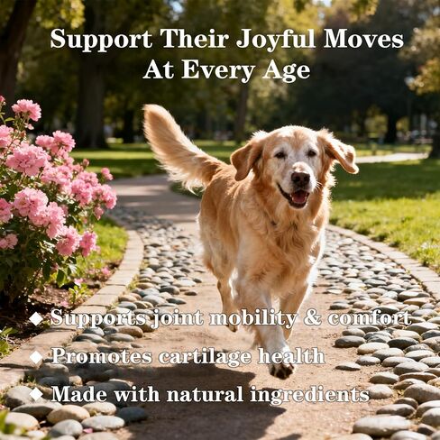 Advanced Dog Hip & Joint Chews for All Breeds, 185 Ct,90day Supply,Concentrated with Glucosamine, Chondroitin, High-Potency MSM & 7X Omega-3. Supports Joint Pain Relief & Senior Dog Mobility in Kuwait