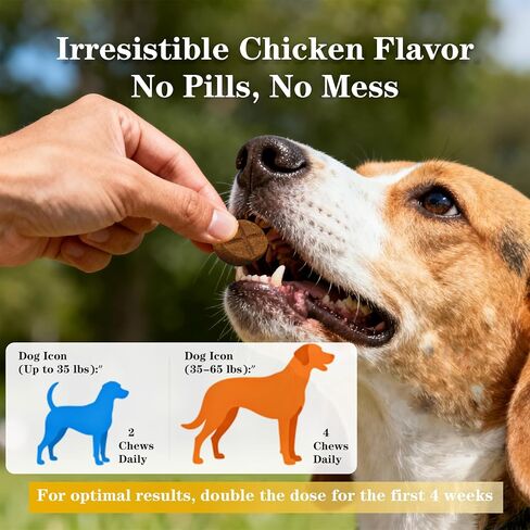 Advanced Dog Hip & Joint Chews for All Breeds, 185 Ct,90day Supply,Concentrated with Glucosamine, Chondroitin, High-Potency MSM & 7X Omega-3. Supports Joint Pain Relief & Senior Dog Mobility in Kuwait