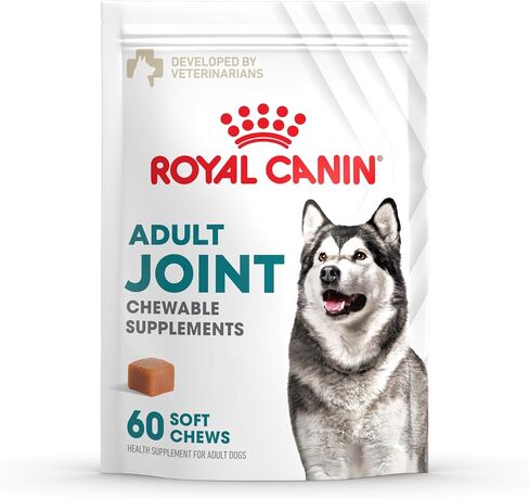 Royal Canin Joint Dog Supplement Soft Chews for Adult Dogs, 60 Count in Kuwait