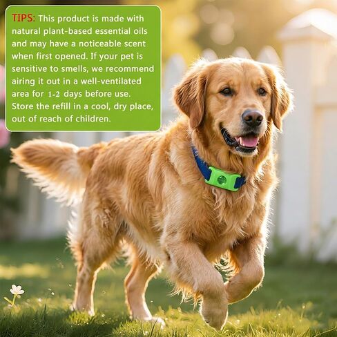 Pendant for Dogs, Adjustable Collar Tag for Small Medium Large Breeds, Water-Resistant Dog Pendant 2 Pcs with 4 Extra Refills Green in Kuwait