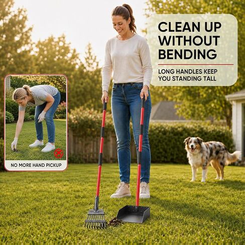 Pooper Scooper for Dogs Heavy Duty Metal 38.2in Long Handle Tray & Rake in Kuwait