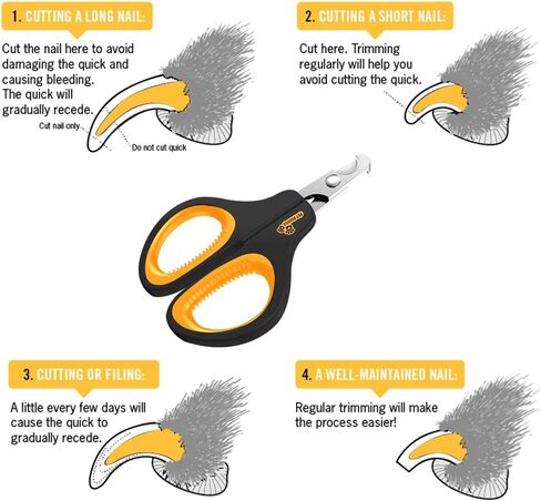 Cat Nail Clipper - Professional Cat Claw trimmer & Cat Claw Clipper - Cat Nail Trimmers Suits All Small Animals such as Dogs, Cats, Puppies, Kittens, Birds, Hedgehogs, ferrets, rabbits, hamsters .. in Kuwait