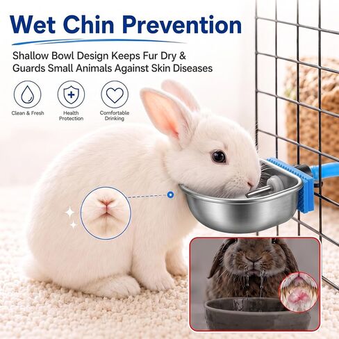 Potchen 10 Pack Rabbit Waterer Bowl, Stainless Steel Auto Chew Proof Cage in Kuwait
