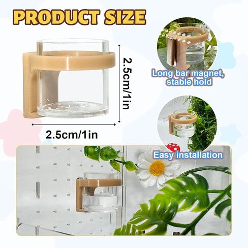 2 Pcs Jumping Spider Feeding Dish, Magnetic Water Bowl, Jumping Spider Enclosure Accessories (Beige) in Kuwait