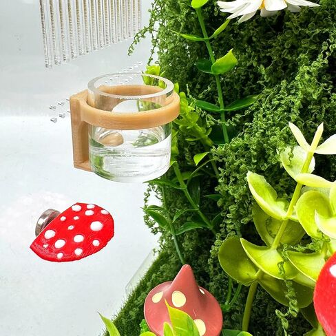 2 Pcs Jumping Spider Feeding Dish, Magnetic Water Bowl, Jumping Spider Enclosure Accessories (Beige) in Kuwait