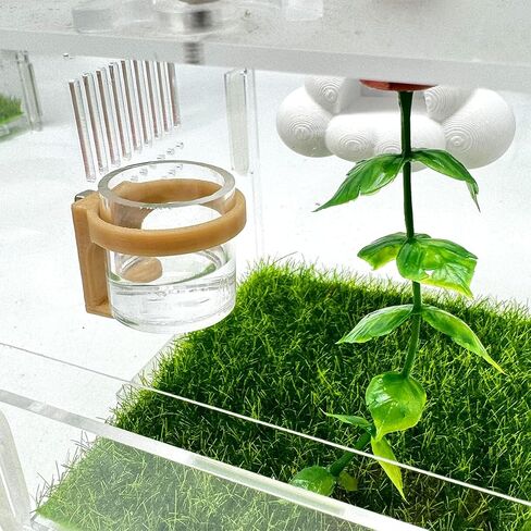 2 Pcs Jumping Spider Feeding Dish, Magnetic Water Bowl, Jumping Spider Enclosure Accessories (Beige) in Kuwait