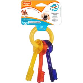 Nylabone Puppy Chew Teething Key Ring Dog Chew Toy, Bacon Flavor, Small in Kuwait