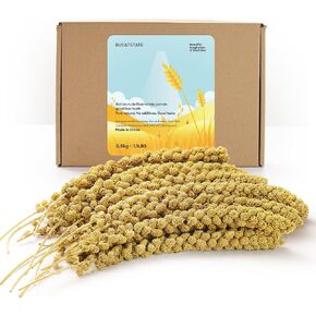 BUCATSTATE Spray Millet for Birds, Sun-Dried Healthy Millet Parakeet Treats for Parrots Cockatiel Lovebird Finch, GMO-Free Parakeet Food - 1.1lb in Kuwait
