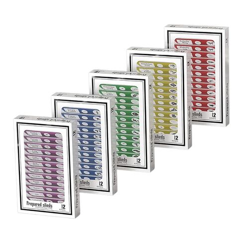 48pcs Plastic Prepared Microscope Slides in Kuwait