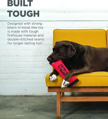 Outward Hound Firehose Tough Chew Fetch Dog Toy, Squeaks & Floats, 10" in Kuwait