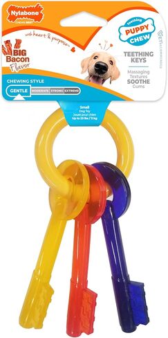 Nylabone Puppy Chew Teething Key Ring Dog Chew Toy, Bacon Flavor, Small in Kuwait