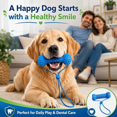 2Pcs Dual-Action Canine Dental Prop,Dog Toys Dual-Action Teeth Cleaning Mouth Prop,Pet Oral Care for Small,Dog Mouth Opener for Medium and Large Dogs for Easier Teeth Brushing in Kuwait