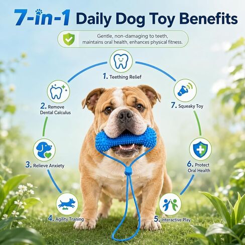 2Pcs Dual-Action Canine Dental Prop,Dog Toys Dual-Action Teeth Cleaning Mouth Prop,Pet Oral Care for Small,Dog Mouth Opener for Medium and Large Dogs for Easier Teeth Brushing in Kuwait