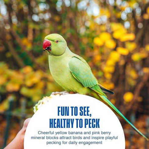 Penn-Plax Bird-Life 2-in-1 E-Cuttlebone & Mineral Block – Bananna & Berry Flavor – Great for All Birds – 2 Pack in Kuwait