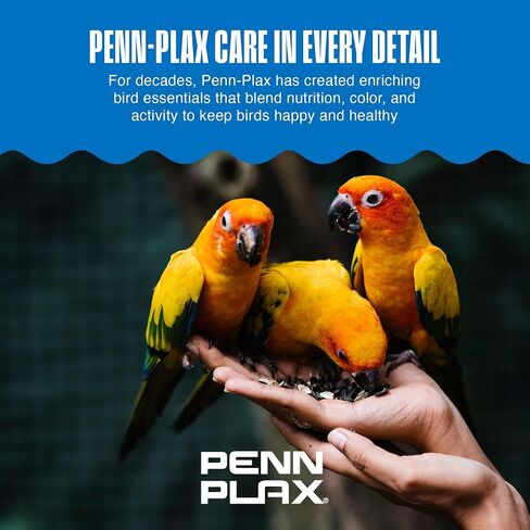Penn-Plax Bird-Life 2-in-1 E-Cuttlebone & Mineral Block – Bananna & Berry Flavor – Great for All Birds – 2 Pack in Kuwait