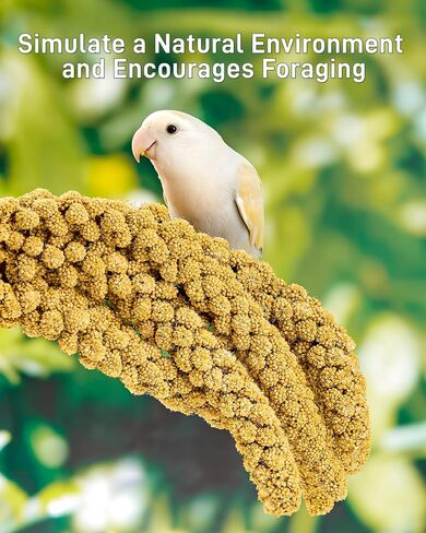 BUCATSTATE Spray Millet for Birds, Sun-Dried Healthy Millet Parakeet Treats for Parrots Cockatiel Lovebird Finch, GMO-Free Parakeet Food - 1.1lb in Kuwait