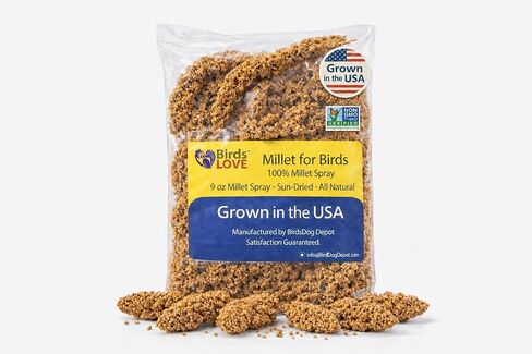 5lbs Economy & Special Spray Millet for Birds – GMO-Free, No Stems (Only Edible Tops) – 100% Natural Sun-Dried Foraging Treat for Cockatiels, Lovebirds, Parakeets, Finches & Canaries in Saudi Arabia