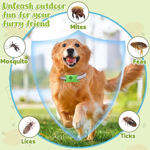 Natural Flea & Tick Dog Collar Tag with 4 Refills - Green in Kuwait