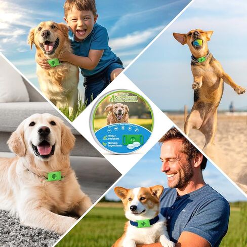 Natural Flea & Tick Dog Collar Tag with 4 Refills - Green in Kuwait