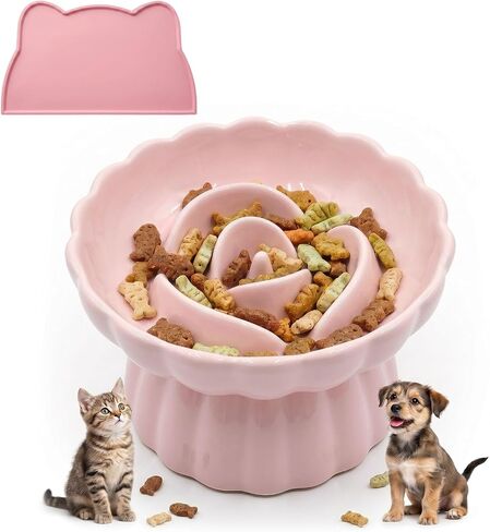 Elevated Cat Bowls,Slow Feeder Cat Bowl for Puppy Kitten Small Animals in Kuwait