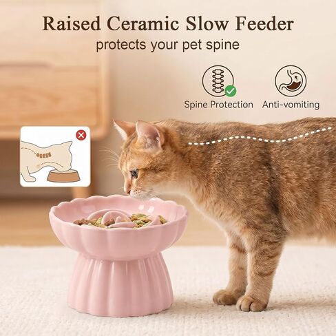 Elevated Cat Bowls,Slow Feeder Cat Bowl for Puppy Kitten Small Animals in Kuwait