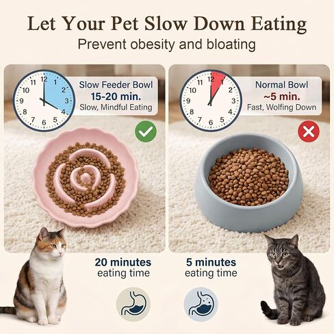 Elevated Cat Bowls,Slow Feeder Cat Bowl for Puppy Kitten Small Animals in Kuwait