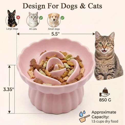 Elevated Cat Bowls,Slow Feeder Cat Bowl for Puppy Kitten Small Animals in Kuwait