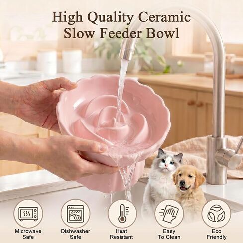 Elevated Cat Bowls,Slow Feeder Cat Bowl for Puppy Kitten Small Animals in Kuwait