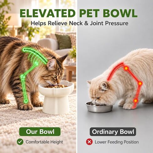 Pet Feeding Bowls, Ceramic Elevated Slow Feeder Dog Bowl, 10° Tilted Raised Cat Food Bowl with Flower Design, Anti-Slip Base for Small to Medium Cats and Dogs in Kuwait