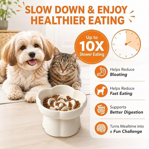Pet Feeding Bowls, Ceramic Elevated Slow Feeder Dog Bowl, 10° Tilted Raised Cat Food Bowl with Flower Design, Anti-Slip Base for Small to Medium Cats and Dogs in Kuwait