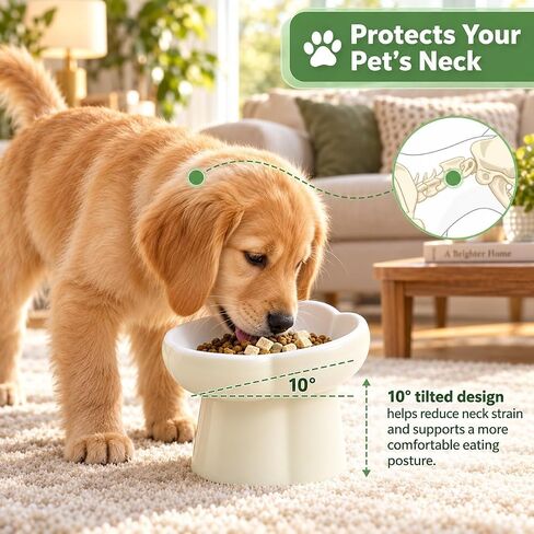 Pet Feeding Bowls, Ceramic Elevated Slow Feeder Dog Bowl, 10° Tilted Raised Cat Food Bowl with Flower Design, Anti-Slip Base for Small to Medium Cats and Dogs in Kuwait
