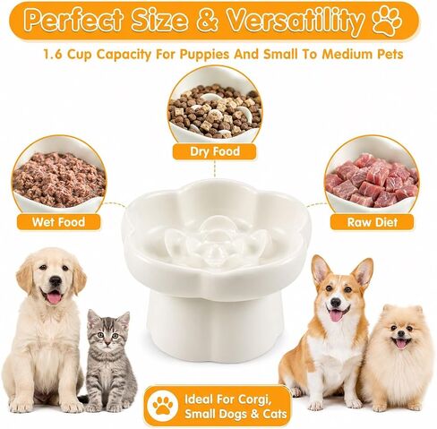 Pet Feeding Bowls, Ceramic Elevated Slow Feeder Dog Bowl, 10° Tilted Raised Cat Food Bowl with Flower Design, Anti-Slip Base for Small to Medium Cats and Dogs in Kuwait