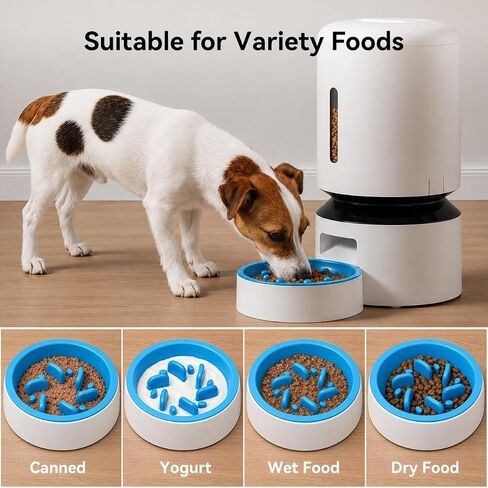 Slow Feeder Bowl for Cats & Small Dogs Compatible with PETLIBRO Automatic Cat Feeder 3L 5L with WiFi, Replacement for Stainless Steel Bowl in Kuwait