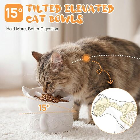 2 Pack Ceramic Slow Feeder Cat Bowl, Raised Tilted Cat Slow Feeder Bowls in Kuwait