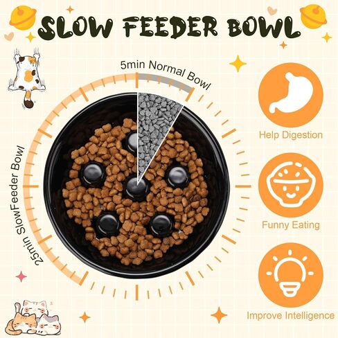 2 Pack Ceramic Slow Feeder Cat Bowl, Raised Tilted Cat Slow Feeder Bowls in Kuwait