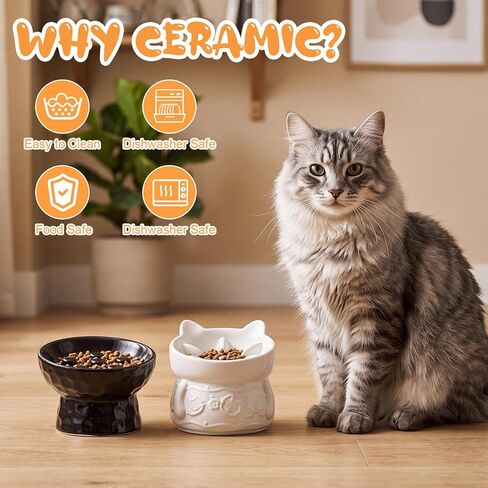2 Pack Ceramic Slow Feeder Cat Bowl, Raised Tilted Cat Slow Feeder Bowls in Kuwait