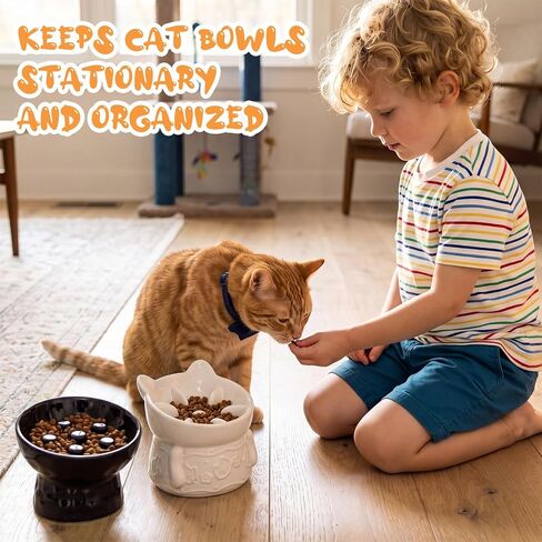 2 Pack Ceramic Slow Feeder Cat Bowl, Raised Tilted Cat Slow Feeder Bowls in Kuwait