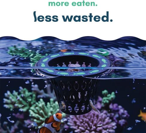 Modular Fish Feeding System - Feeding Ring & Removable Frozen Food Basket in Kuwait