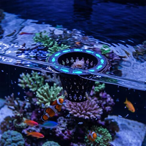 Modular Fish Feeding System - Feeding Ring & Removable Frozen Food Basket in Kuwait