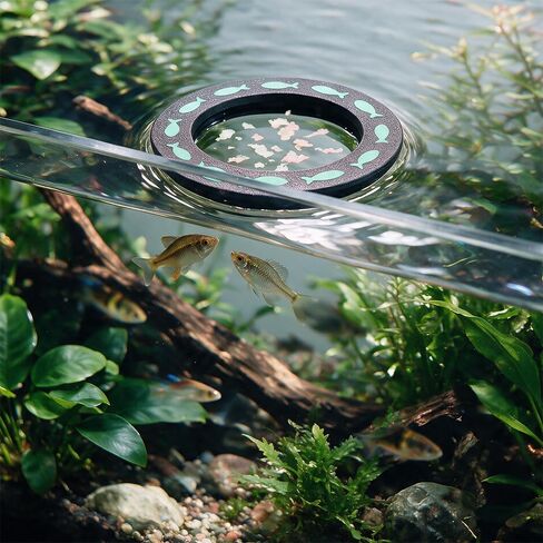 Modular Fish Feeding System - Feeding Ring & Removable Frozen Food Basket in Kuwait