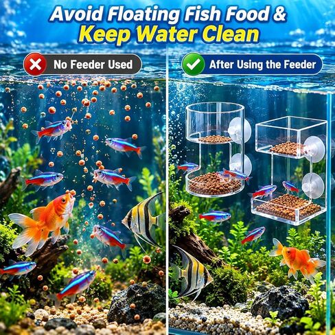 2 Pack Fish Tank Feeding Tray with Suction Cup, Vacation Fish Feeder in Kuwait