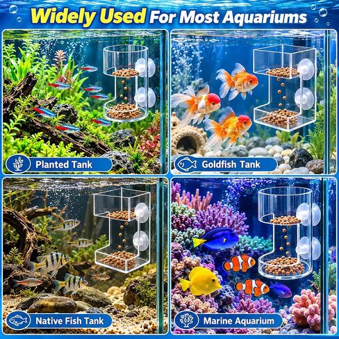 2 Pack Fish Tank Feeding Tray with Suction Cup, Vacation Fish Feeder in Kuwait