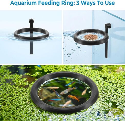 Magnetic Fish Feeding Ring Aquarium Floating Feeder Holder Corral in Kuwait