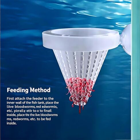 2Pcs White Cone Fish Feeder Cups with Suction for Aquarium Tanks in Kuwait