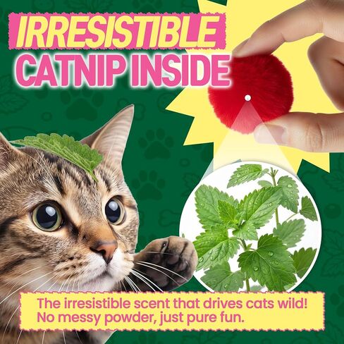 HA SHI Catnip Fur Balls for Indoor Cats, 40 Count, 1.8 Inch in Kuwait