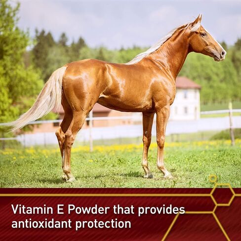 Pro E-5000 Premium Horse Vitamin E Powder, Antioxidant Support with Yeast & Alfalfa for Palatability, Equine Vitamin E Supplement for All Horses, 4 lbs, 128-Day Supply, Vita Flex in Saudi Arabia