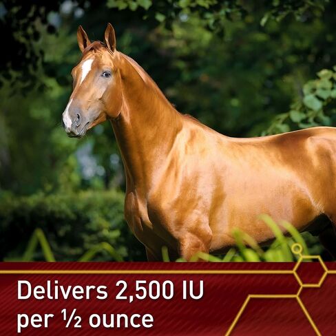 Pro E-5000 Premium Horse Vitamin E Powder, Antioxidant Support with Yeast & Alfalfa for Palatability, Equine Vitamin E Supplement for All Horses, 4 lbs, 128-Day Supply, Vita Flex in Saudi Arabia