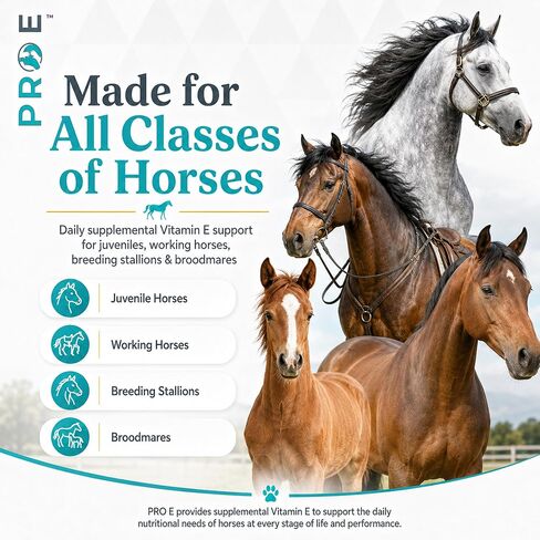 PRO E Equine Vitamin E Supplement, Liquid for Horses, 1 Gallon in Kuwait