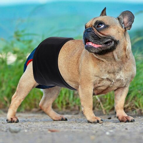 Male Dog Belly Band Washable Reusable Diaper Cotton Waterproof Wrap in Kuwait